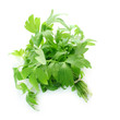 Lovage