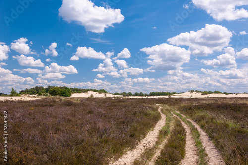 Foto: Long curved sandy path in a colorful rural landscape Long curved sandy path in a colorful rural landscape