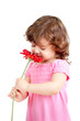 cute little girl smelling flower gift, isolated on white