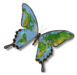 Map of Earth on butterfly