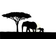 African elephant with baby silhouette