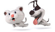 Cat and dog