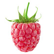 One raspberries isolated on white background
