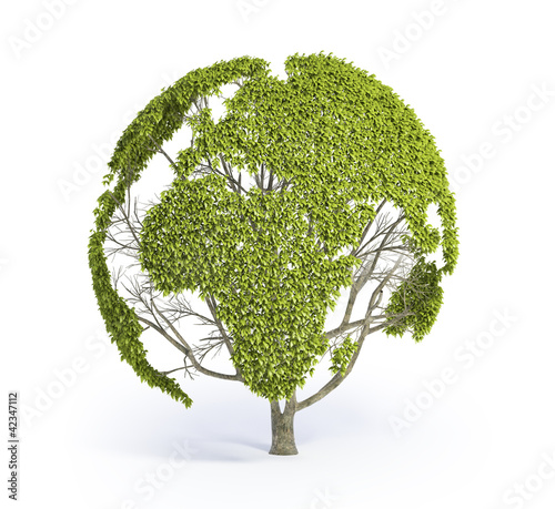 Illustrazione: Tree shaped World map Tree shaped World map