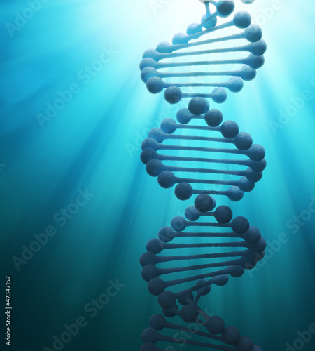 Illustration: DNA double helix strand model DNA double helix strand model