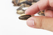 Pick sunflower seeds with hand.