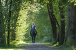 Beim Reiten im Wald