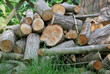 Kaminholz