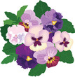 bouquet from white, violet and lilac pansy