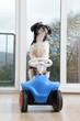 Hund am Steuer