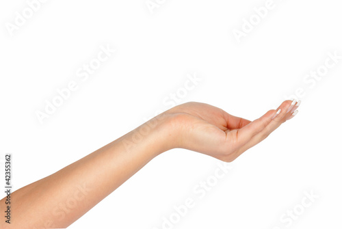 Photo: Empty hand isolated on white background Empty hand isolated on white background