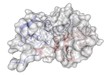 Ricin vaccine molecule