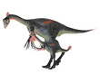 Adult and Young Gigantoraptor