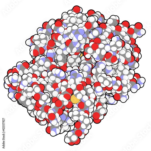 Illustration: Ricin vaccine molecule Ricin vaccine molecule