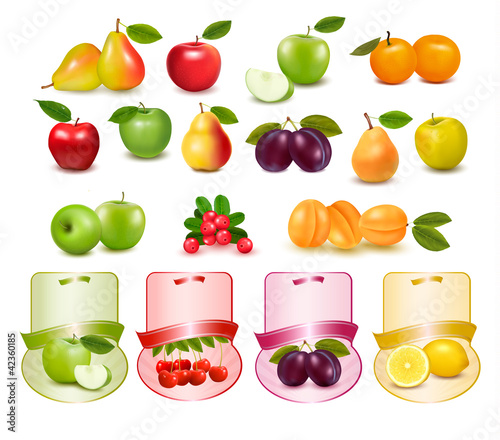 Vector: Group with different sorts of fruit and labels. Vector. Group with different sorts of fruit and labels. Vector.