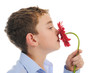 boy with flower
