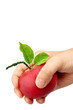 An apple in the hand