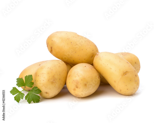 Photo: New potato and green parsley New potato and green parsley