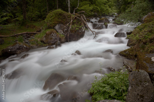 Photo: Torrent, Pyrénées Torrent, Pyrénées