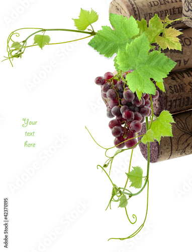 Foto: concept "de vigne en vin" concept "de vigne en vin"