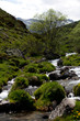 Torrent, Pyrénées