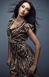 Foto: Beautiful woman. Studio photo. Beautiful woman. Studio photo.