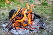 Feu de camp
