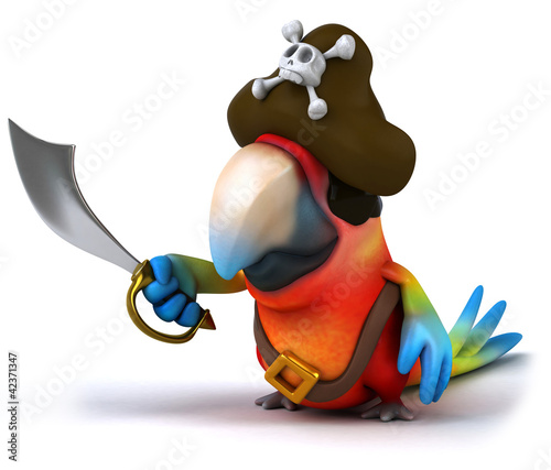Illustration: Parrot pirate Parrot pirate