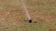 Automatic sprinkler  watering