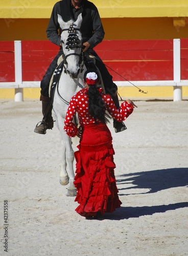 Photo: Dressage & flamenco Dressage & flamenco