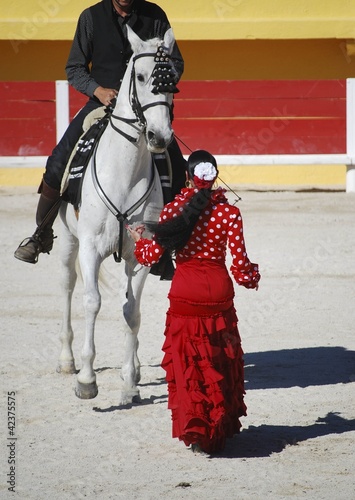 Photo: Dressage & flamenco Dressage & flamenco