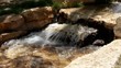 Oasis in the Negev Desert