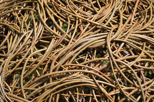 Photo: Wicker background Wicker background