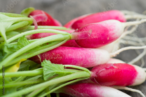 Photo: Radish Radish
