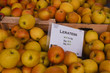 Apples on sale at a French market