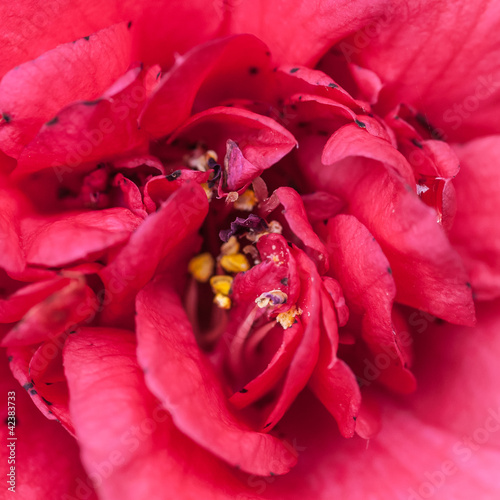 Photo: Slowly Opening Slowly Opening