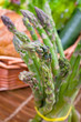 frischer grüner Spargel
