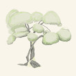 Tree sketches
