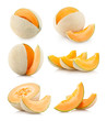 set of 6 cantaloupe images
