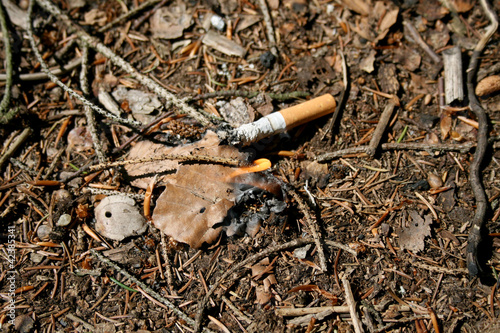 Photo: waldbrandgefahr waldbrandgefahr
