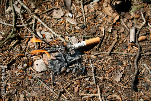 Photo: waldbrandgefahr waldbrandgefahr
