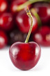 Photo: fresh cherry fresh cherry
