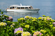 Photo: Lago Maggiore Lago Maggiore