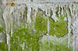 Old Wall With Peeling Paint