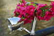 Drahtesel mit Blumenschmuck
