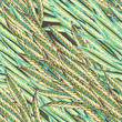 Vector seamless eastern pattern
