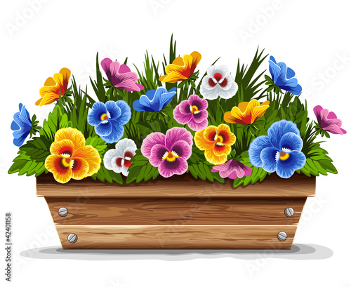 Vektor: Wooden flower pot with pansies Wooden flower pot with pansies