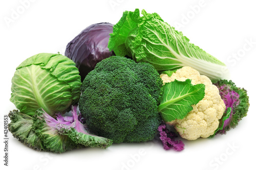 Photo: collection cabbage collection cabbage