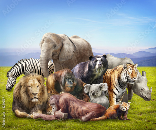 Photo: Group of animals Group of animals