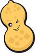 Vector: peanut peanut